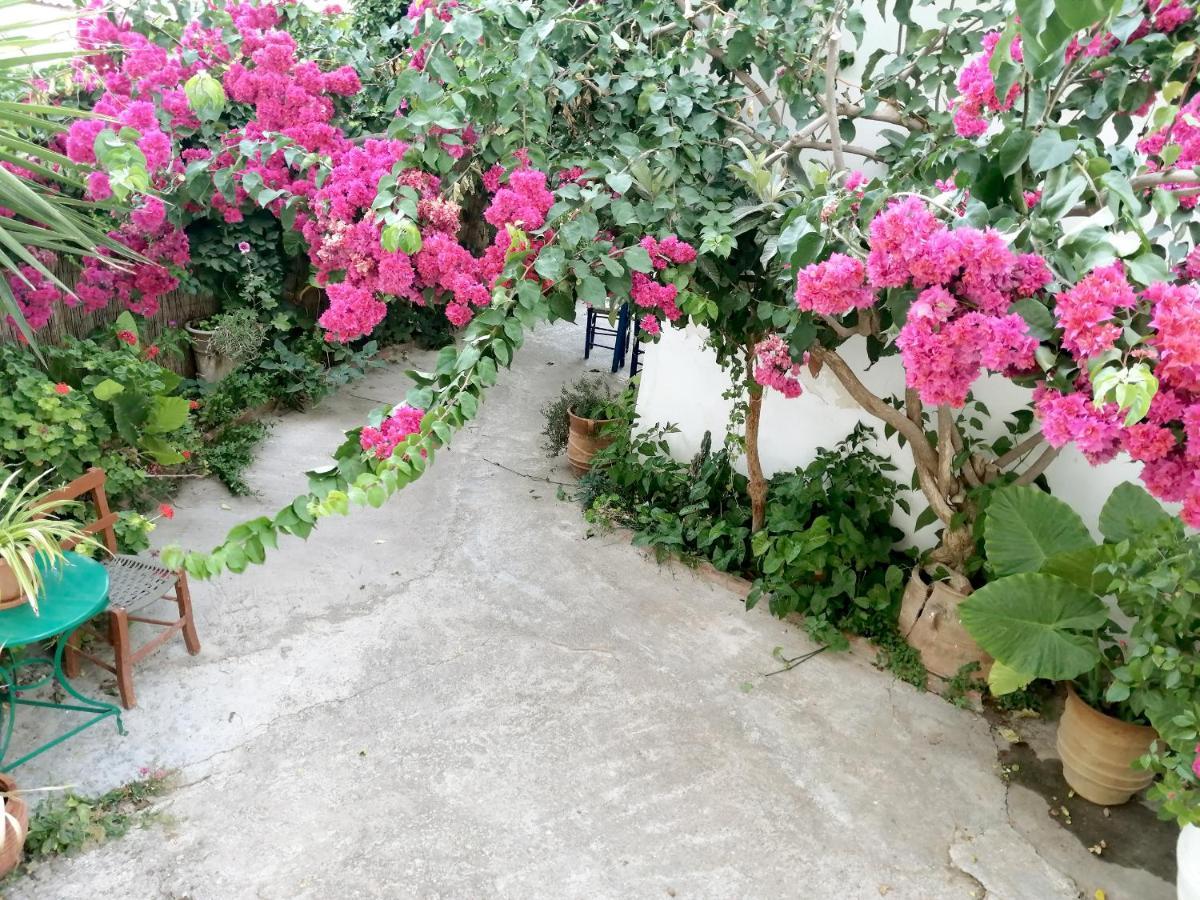 Katerina Rooms & Studios Palekastro Exterior photo