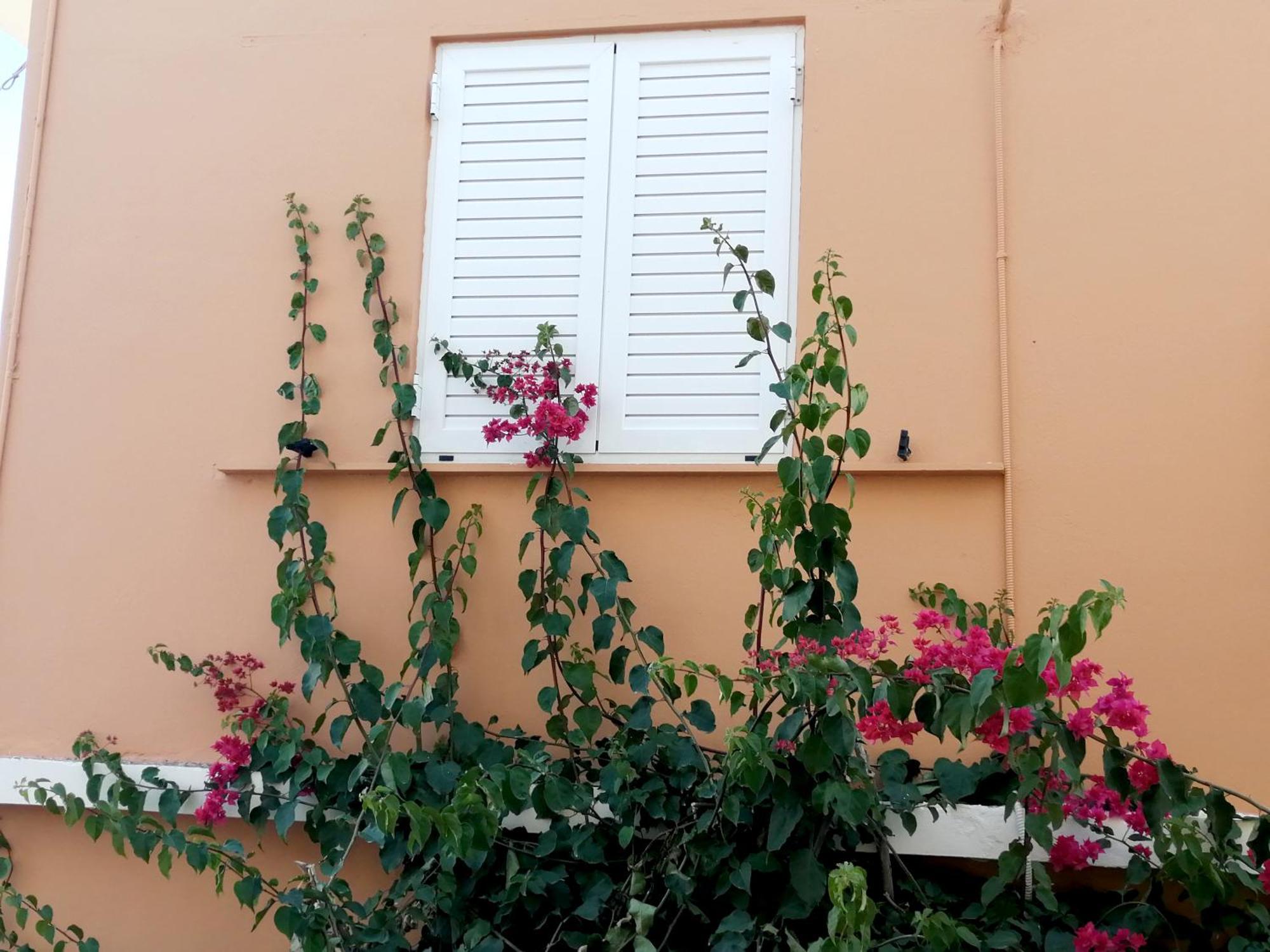 Katerina Rooms & Studios Palekastro Exterior photo
