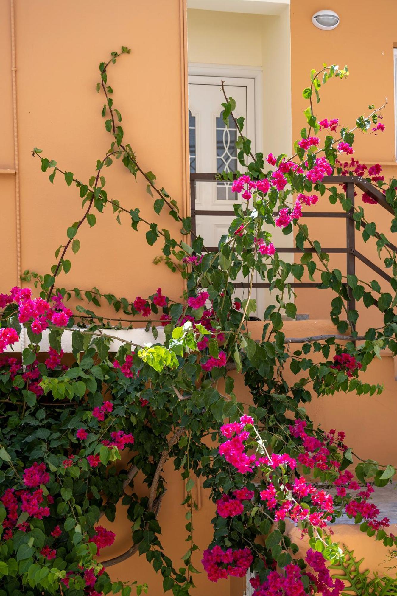 Katerina Rooms & Studios Palekastro Exterior photo